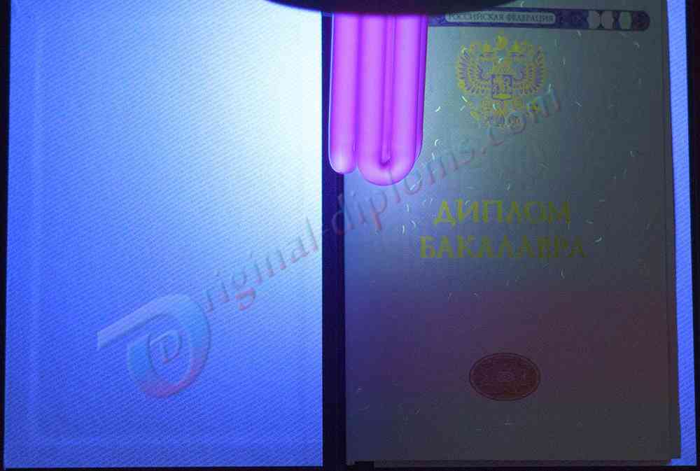 Диплом бакалавра 2014-2026